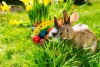 Ostern mit Arrangement